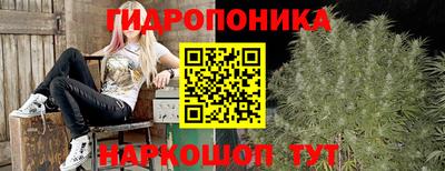 мдпв Аргун