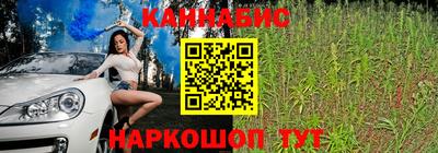 мдпв Аргун